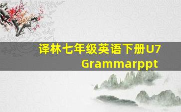 译林七年级英语下册U7 Grammarppt